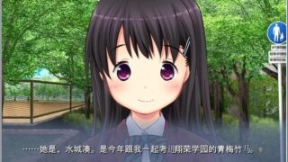 【汉化H游戏美少女游戏下载/磁力/VIP】平胸×NTR～青梅竹马女友的3年调教记录～ 汉化硬盘版[302M]