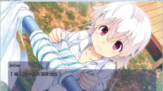 【汉化H游戏美少女游戏下载/VIP】向日葵：天空鹅卵石 汉化版[2.64G]