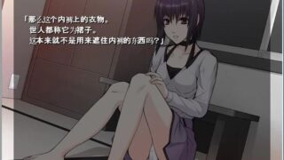 【汉化H游戏美少女游戏下载/磁力/VIP】他与她与她的忠义 汉化硬盘版[59M]