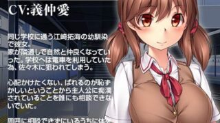 【汉化H游戏美少女游戏下载/磁力/VIP】不能对他说的耻辱关系 汉化硬盘版[1.63G]