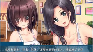 【汉化H游戏美少女游戏下载/磁力/VIP】巨乳咖啡馆 汉化硬盘版[391M]