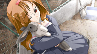 【汉化H游戏美少女游戏下载/磁力/VIP】心灵导航 日文版[1.08G]