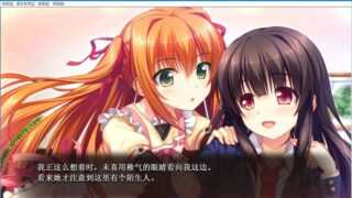 【汉化H游戏美少女游戏下载/磁力/VIP】若能与你再次相见 主线汉化硬盘版[3.16G]