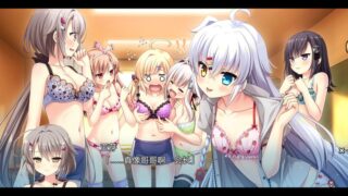 【汉化H游戏美少女游戏下载/VIP】不可视之药与坎坷的命运汉化硬盘版【3G】