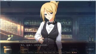 【汉化H游戏美少女游戏下载/磁力/VIP】聖娼女 汉化硬盘版[2.00G]