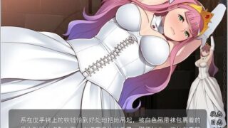 【汉化H游戏美少女游戏下载/磁力/VIP】监禁王女-伊萝蕾希亚 汉化硬盘版[438M]