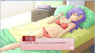 【汉化H游戏美少女游戏下载/磁力/VIP】恶魔的约会（Devil in the Details） 中文版[495M]