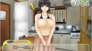 【汉化H游戏美少女下载/磁力/VIP】和侄女的夏天 汉化免安装版[835M]