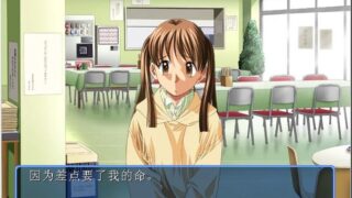 【汉化H游戏美少女游戏下载/磁力/VIP】sense off ～a sacred story in the wind～汉化版[232M]