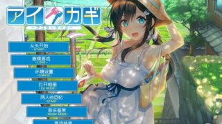 【汉化H游戏美少女游戏下载/磁力/VIP】爱之钥甜园夏日 汉化硬盘版[1.21G]