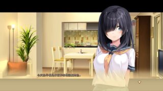 【汉化H游戏美少女游戏下载/磁力/VIP】爱巢2汉化硬盘版