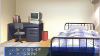 【汉化H游戏美少女游戏下载/磁力/VIP】sense off ～a sacred story in the wind～汉化版[232M]