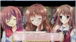 【汉化H游戏美少女游戏下载/磁力/VIP】樱舞少女的轮舞曲～女装主人公们的受难记～ 汉化硬盘版[182M]