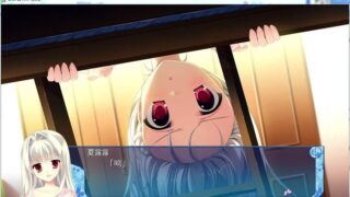 【汉化H游戏美少女游戏下载/磁力/VIP】D.C.III.R_X 汉化版[3.51G]