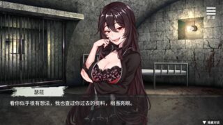 【汉化H游戏美少女游戏下载/VIP】罪恶集中营中文版【360M】