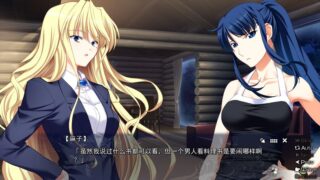 【汉化H游戏美少女游戏下载/磁力/VIP】灰色的残光 汉化版【610M】