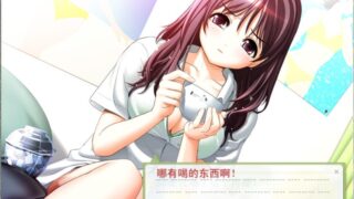 【汉化H游戏美少女游戏下载/磁力/VIP】四娘物语/四叶草 汉化版【1.3G】