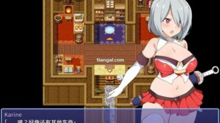 【汉化H游戏美少女游戏下载/磁力/VIP】电脑姬KARIN v1.03 FANZA+DLsite特典版 中文版【600M】
