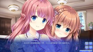 【汉化H游戏美少女游戏下载/磁力/VIP】少女缔结的月之光辉 汉化版【2.88G】