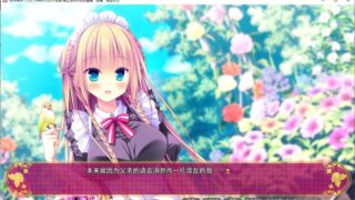 【汉化H游戏美少女游戏下载/磁力/VIP】安娜贝尔女仆花园 汉化免安装版【1.4G】