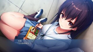 【汉化H游戏美少女游戏下载/VIP】お兄ちゃん、手伝って！～夜の花嫁修業を頼まれて…～ 机翻中文版