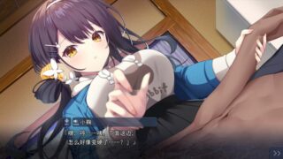 【汉化h游戏美少女游戏下载|VIP】刹那绽放的恋之花火 汉化版【3.5G】