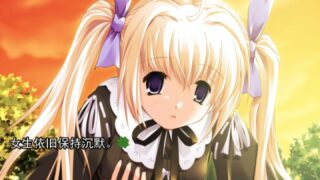 【汉化h游戏美少女游戏下载|VIP】四叶之心（Clover Heart's） 汉化版【1.8G】