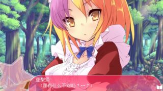 【汉化h游戏美少女游戏下载|VIP】爱丽丝大游行 汉化版【1.2G】