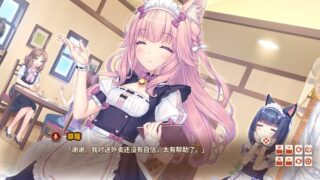 【汉化h游戏美少女游戏下载|VIP】NEKOPARA After（猫娘乐园 After）中文版【3.4G】