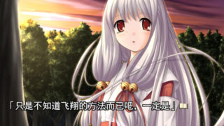 【汉化h游戏美少女游戏下载|VIP】月陽炎 DVD Edition 汉化版