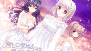 【汉化h游戏美少女游戏下载|VIP】与你一起醒来的若干方法 AI翻译版【2G】