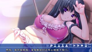 【汉化h游戏美少女游戏下载|VIP】海滩比基尼～南国乳辱摄影会～ AI翻译版【750M】