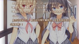 【汉化h游戏美少女游戏下载|VIP】给得了痔疮的妹妹塞栓剂（痔疮妹） 汉化版【500M】