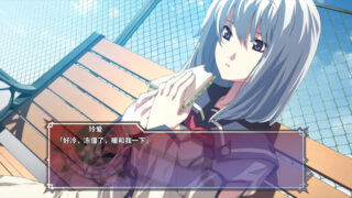 【汉化h游戏美少女游戏下载|VIP】Dies irae ～Amantes amentes～ 中文版【6G】