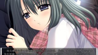 【汉化h游戏美少女游戏下载|VIP】我们没有翅膀 汉化版【3.3G】