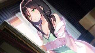【汉化h游戏美少女游戏下载|VIP】莉露卡将夜晚染上层层色彩 AI翻译版【3.6G】