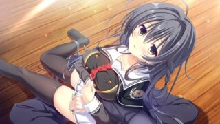 【汉化h游戏美少女游戏下载|VIP】D.C.5 ~Da Capo 5~ 汉化版【5.4G】
