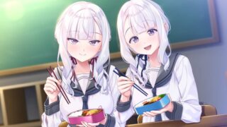【汉化h游戏美少女游戏下载|VIP】双子的恋情难以看穿 AI翻译版【2.3G】