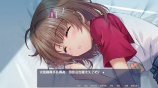 【汉化h游戏美少女游戏下载|VIP】终有一日愿遂思恋 ～来自迷途之家的信笺～ 中文版【2.6G】
